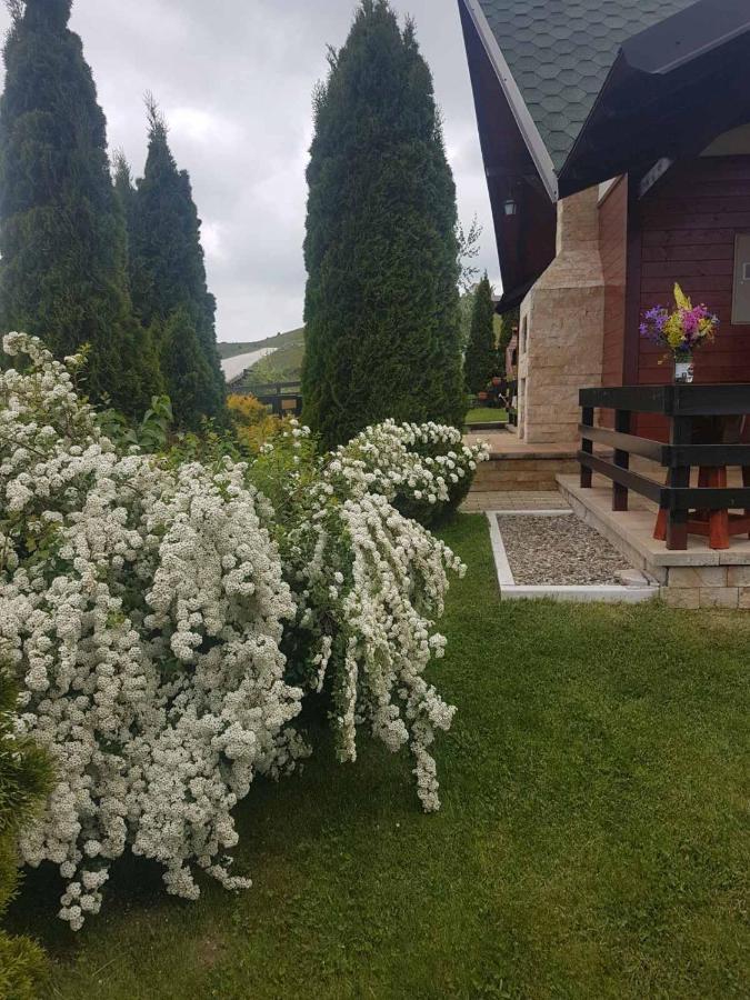 Apartments Hill House Zlatibor Exteriér fotografie